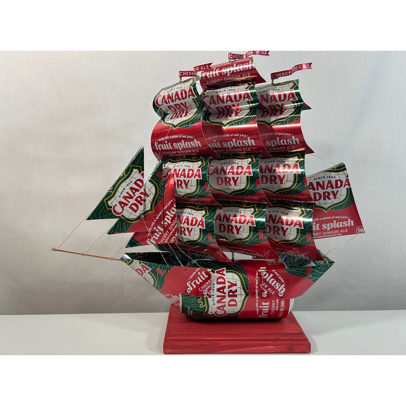 Canada Dry Ginger Ale Fruit Splash Can Ship