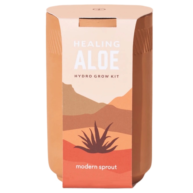Terracotta Kit: Healing Aloe